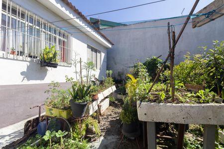 Casa à venda com 311m², 1 quarto e sem vaga Casa à venda com 311m², 1 quarto e sem vagaQuintal