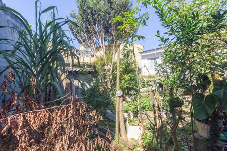 Casa à venda com 311m², 1 quarto e sem vaga Casa à venda com 311m², 1 quarto e sem vagaQuintal