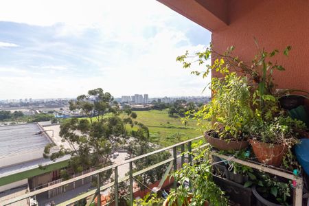 Apartamento à venda com 65m², 3 quartos e 1 vagaVaranda