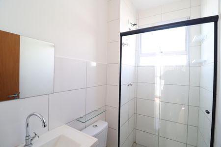 Banheiro Social de apartamento para alugar com 2 quartos, 50m² em Chácaras Tubalina E Quartel, Uberlândia
