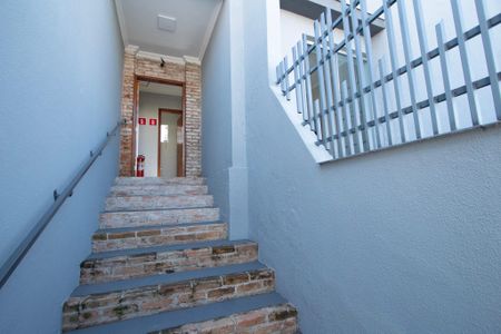 Casa para alugar com 233m², 7 quartos e 3 vagas