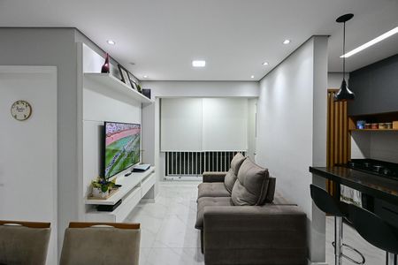 Sala de Tv de apartamento para alugar com 2 quartos, 49m² em Jardim Umarizal, São Paulo