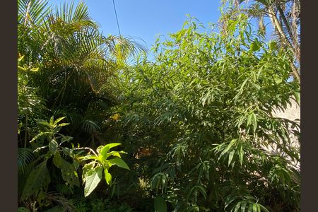 Casa à venda com 250m², 4 quartos e 1 vagaÁrea externa - Jardim
