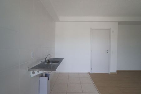 Cozinha de apartamento para alugar com 2 quartos, 47m² em Maubisa, Ribeirão Preto