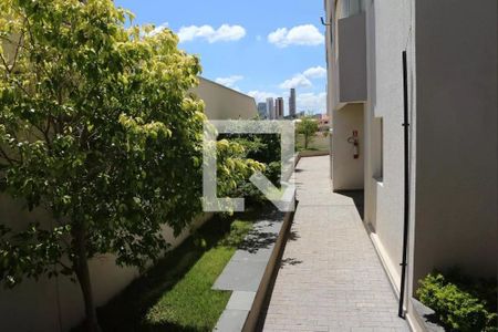 Área comum de apartamento para alugar com 3 quartos, 60m² em Chácara Santo Antônio, São Paulo
