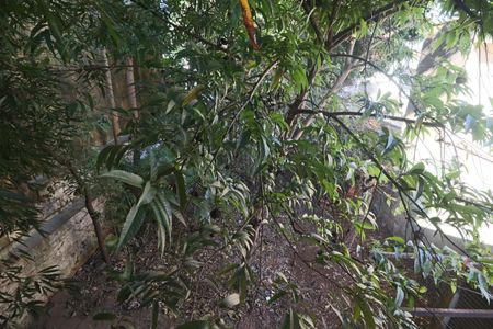 Casa para alugar com 260m², 6 quartos e 3 vagas Casa para alugar com 260m², 6 quartos e 3 vagasVista do Quarto de Serviço
