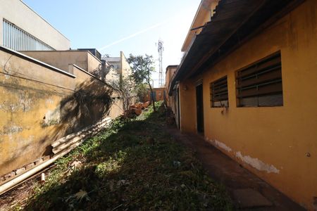 Casa para alugar com 260m², 6 quartos e 3 vagas Casa para alugar com 260m², 6 quartos e 3 vagasQuintal