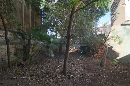 Casa para alugar com 260m², 6 quartos e 3 vagas Casa para alugar com 260m², 6 quartos e 3 vagasQuintal