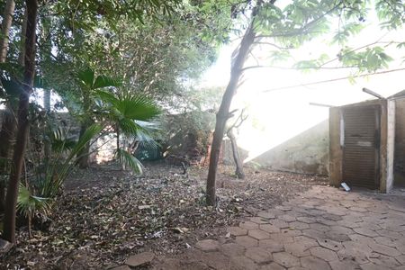 Casa para alugar com 260m², 6 quartos e 3 vagas Casa para alugar com 260m², 6 quartos e 3 vagasQuintal