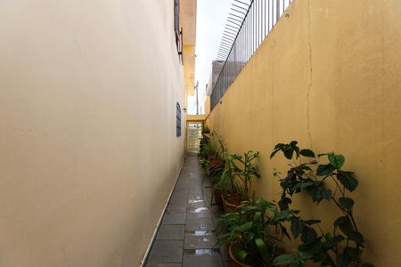 Área externa de casa à venda com 4 quartos, 167m² em Vila Sonia, São Paulo
