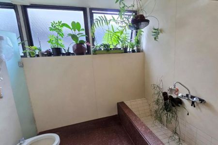 Apartamento à venda com 370m², 6 quartos e 3 vagas Apartamento à venda com 370m², 6 quartos e 3 vagasBanheiro com jardim interno, com plantas em vasos e uma janela grande.