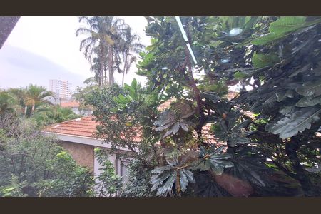 Casa para alugar com 600m², 6 quartos e 12 vagasVista