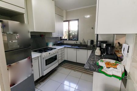 Apartamento para alugar com 239m², 3 quartos e 3 vagas Apartamento para alugar com 239m², 3 quartos e 3 vagasCozinha - Armários