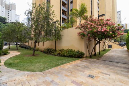 Apartamento para alugar com 70m², 2 quartos e 1 vaga Apartamento para alugar com 70m², 2 quartos e 1 vagaÁrea comum