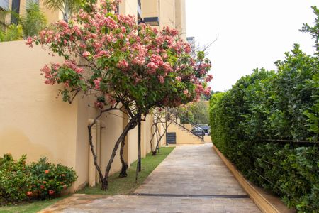 Apartamento para alugar com 70m², 2 quartos e 1 vaga Apartamento para alugar com 70m², 2 quartos e 1 vagaÁrea comum
