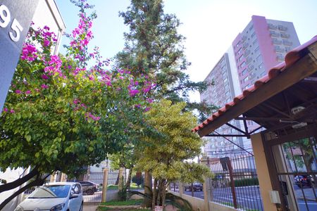 Área comum  de apartamento para alugar com 1 quarto, 32m² em Vila Ipiranga, Porto Alegre
