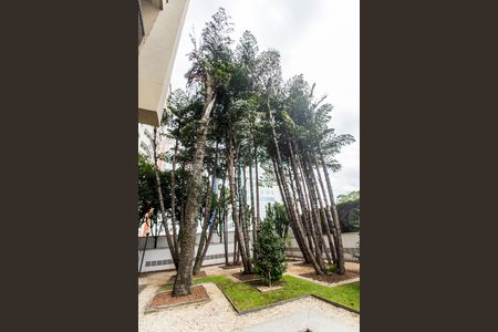 Apartamento para alugar com 162m², 3 quartos e 2 vagasÁrea comum