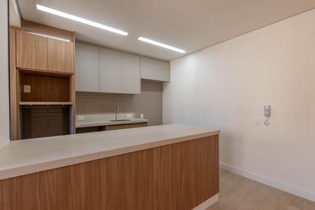 Cozinha de apartamento para alugar com 3 quartos, 108m² em Lourdes, Belo Horizonte