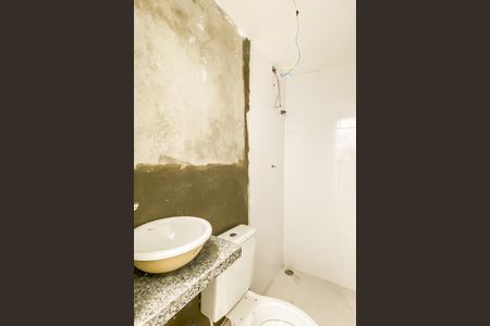Banheiro  de apartamento para alugar com 1 quarto, 22m² em Vila Sao Francisco, São Paulo