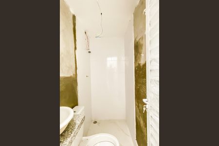 Banheiro  de apartamento para alugar com 1 quarto, 22m² em Vila Sao Francisco, São Paulo