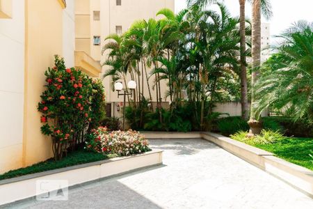 Apartamento para alugar com 55m², 2 quartos e 2 vagasÁrea comum