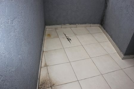 Casa para alugar com 247m², 5 quartos e 2 vagasLavanderia da edícula