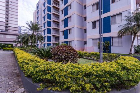 Apartamento para alugar com 64m², 2 quartos e 1 vaga Apartamento para alugar com 64m², 2 quartos e 1 vagaÁrea Comum