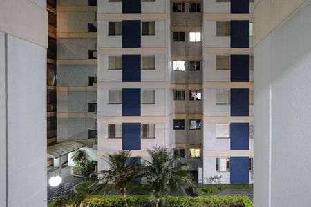 Apartamento para alugar com 64m², 2 quartos e 1 vaga Apartamento para alugar com 64m², 2 quartos e 1 vagaVista - Área de Serviço