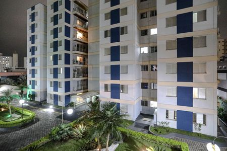 Apartamento para alugar com 64m², 2 quartos e 1 vaga Apartamento para alugar com 64m², 2 quartos e 1 vagaVista - Quarto 2
