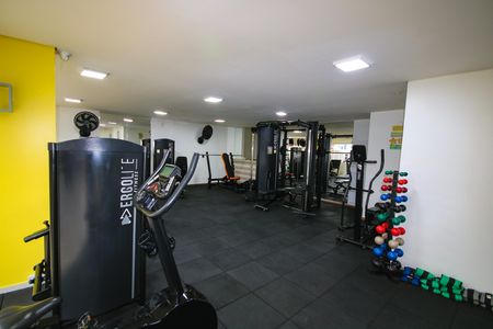 Apartamento para alugar com 55m², 2 quartos e sem vaga Apartamento para alugar com 55m², 2 quartos e sem vagaÁrea comum - Academia