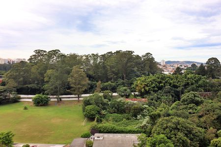 Apartamento à venda com 62m², 3 quartos e 1 vagaQuarto 1 Vista 