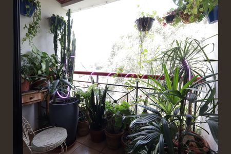 Varanda da Sala de apartamento para alugar com 3 quartos, 80m² em Jardim Monte Kemel, São Paulo