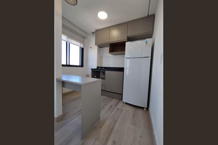 Cozinha - Armários de apartamento para alugar com 1 quarto, 24m² em Sacomã, São Paulo