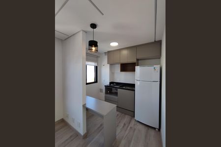 Apartamento para alugar com 24m², 1 quarto e sem vaga Apartamento para alugar com 24m², 1 quarto e sem vagaCozinha - Armários