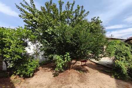 Casa à venda com 330m², 2 quartos e 3 vagasQuintal - Jardim