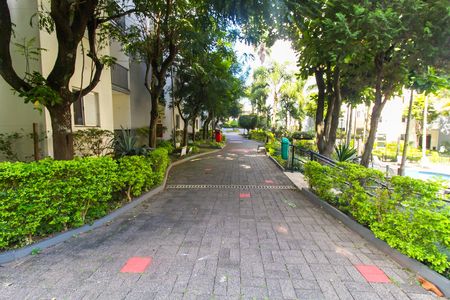 Apartamento à venda com 46m², 2 quartos e 1 vaga Apartamento à venda com 46m², 2 quartos e 1 vagaÁrea comum