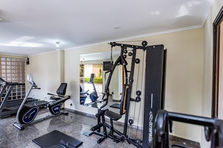 Apartamento à venda com 120m², 3 quartos e 3 vagas Apartamento à venda com 120m², 3 quartos e 3 vagasÁrea comum - Academia