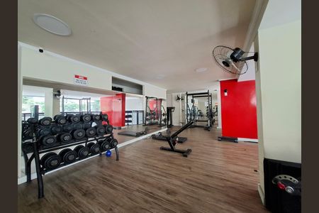 Apartamento para alugar com 110m², 2 quartos e 1 vaga Apartamento para alugar com 110m², 2 quartos e 1 vagaÁrea comum - Academia