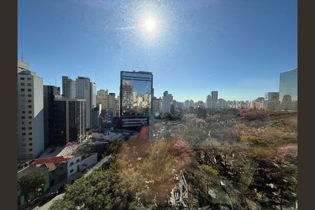 Studio para alugar com 31m², 1 quarto e sem vaga