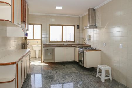 Apartamento para alugar com 167m², 3 quartos e 3 vagasCozinha