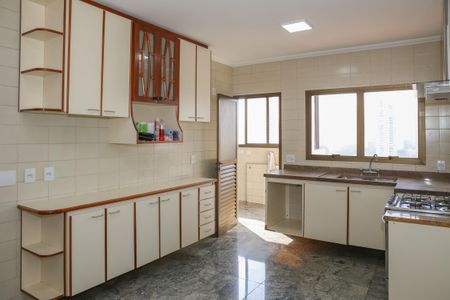 Apartamento para alugar com 167m², 3 quartos e 3 vagasCozinha