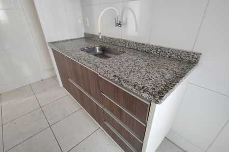Apartamento para alugar com 66m², 2 quartos e 1 vagaCozinha - Armários