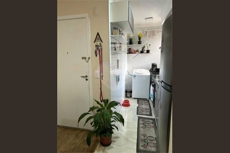 Apartamento à venda com 2 quartos, 38m² em Jardim Cláudia, São Paulo