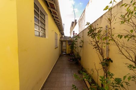 Quintal de casa à venda com 2 quartos, 229m² em Cidade Ademar, São Paulo