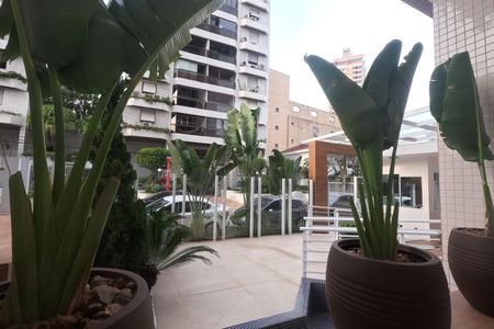 Área Comum - Espaço Verde de apartamento para alugar com 4 quartos, 230m² em Ponta da Praia, Santos