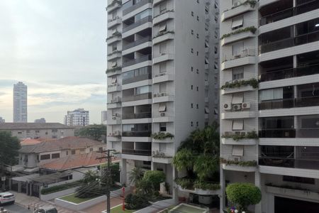 Apartamento para alugar com 230m², 4 quartos e 2 vagasVista da Varanda da Sala