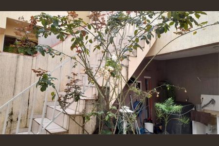 Casa à venda com 5 quartos, 254m² em Jardim Paraíso, São Paulo