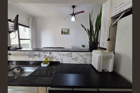 Cozinha de apartamento para alugar com 1 quarto, 47m² em Aviação, Praia Grande
