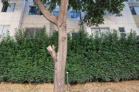 Apartamento para alugar com 46m², 2 quartos e sem vaga Apartamento para alugar com 46m², 2 quartos e sem vagaPlaca