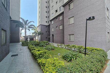 Apartamento para alugar com 55m², 2 quartos e 1 vaga Apartamento para alugar com 55m², 2 quartos e 1 vagaJardim